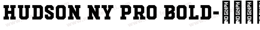 Hudson NY Pro Bold字体转换